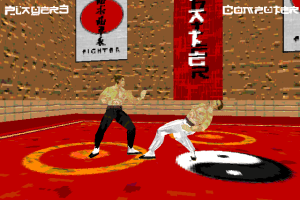 Karate Fighter abandonware