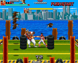 Zero Team U.S.A. abandonware